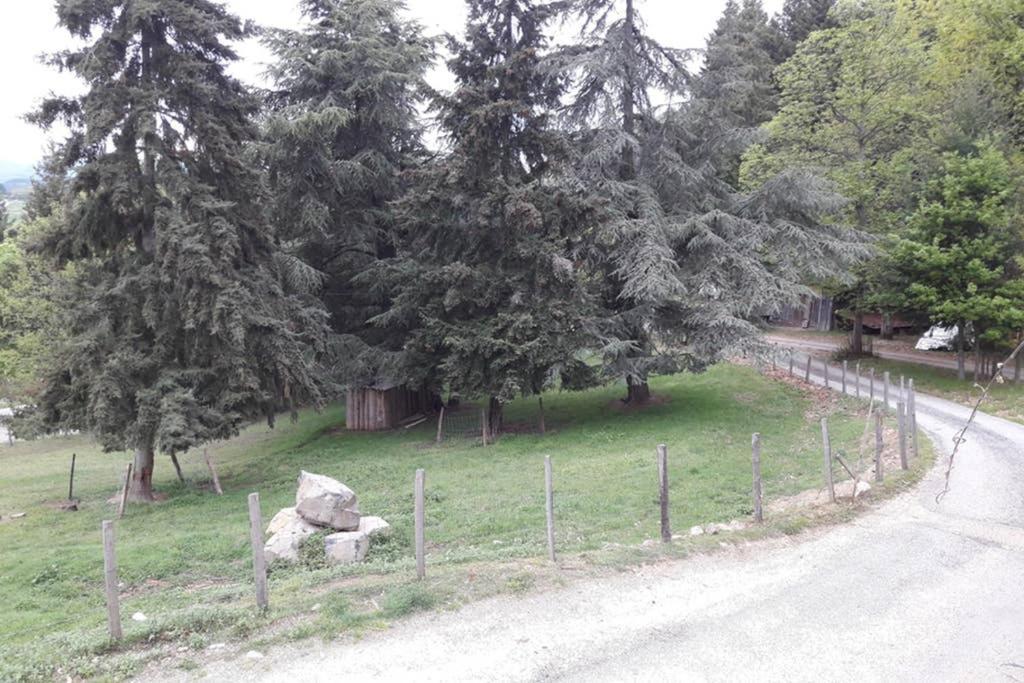 Le Pilat *